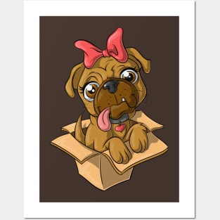 Cute Dog in a Box, Pug Puppy Posters and Art